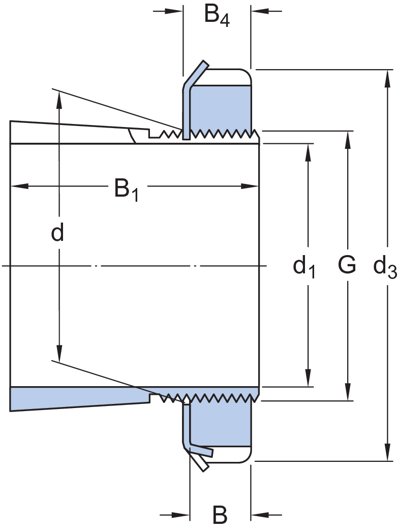 Dimensioni